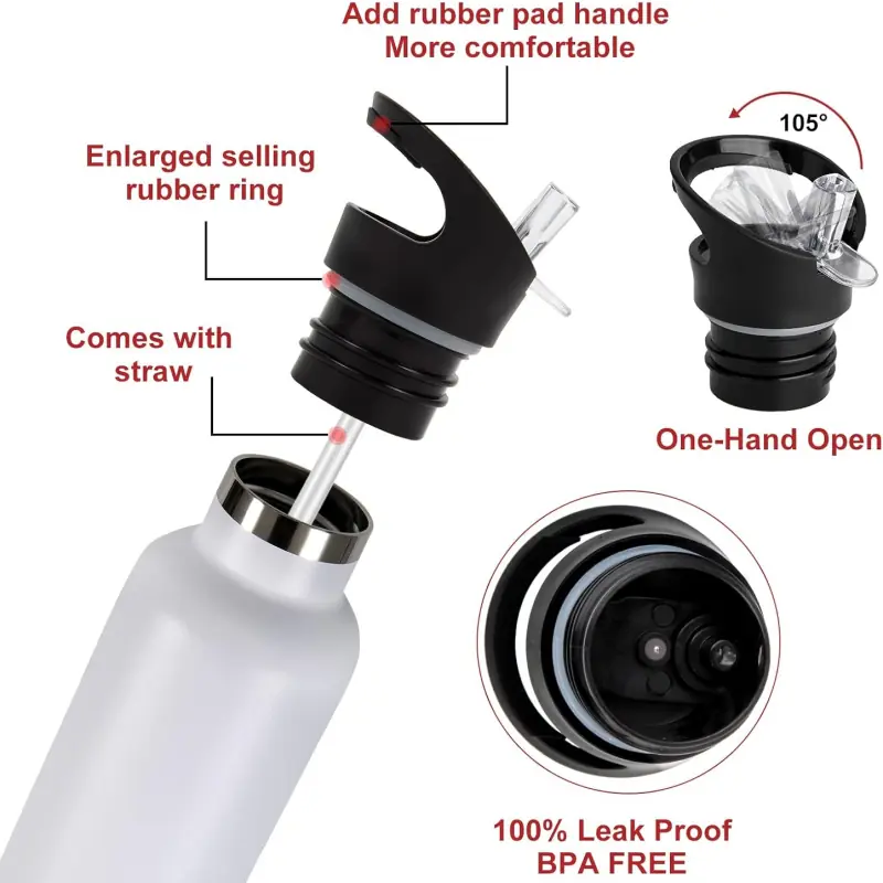 Stainless Steel Double Wall Bottle with Straw Lid - AUSPACE